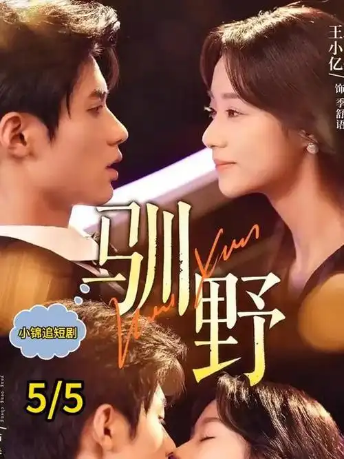 无声证词 极速影院悬疑短剧在线观看
